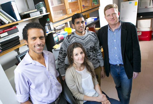 A Duke lab led the effort to isolate bird DNA for sequencing at BGI: (L-R) Erich Jarvis, associate professor of neurobiology and Howard Hughes Medical Institute investigator, lab research analyst Carole Parent, undergraduate research assistant Nisarg Dabhi, and research scientist Jason Howard. (Duke Photo, Les Todd)