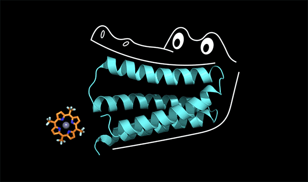 A protein is illustrated to look like an alligator mouth