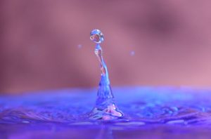 A droplet rises above a surface of water