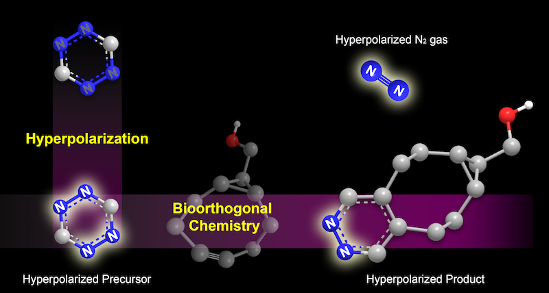 A stylized chemical diagram of the hyperpolarization process